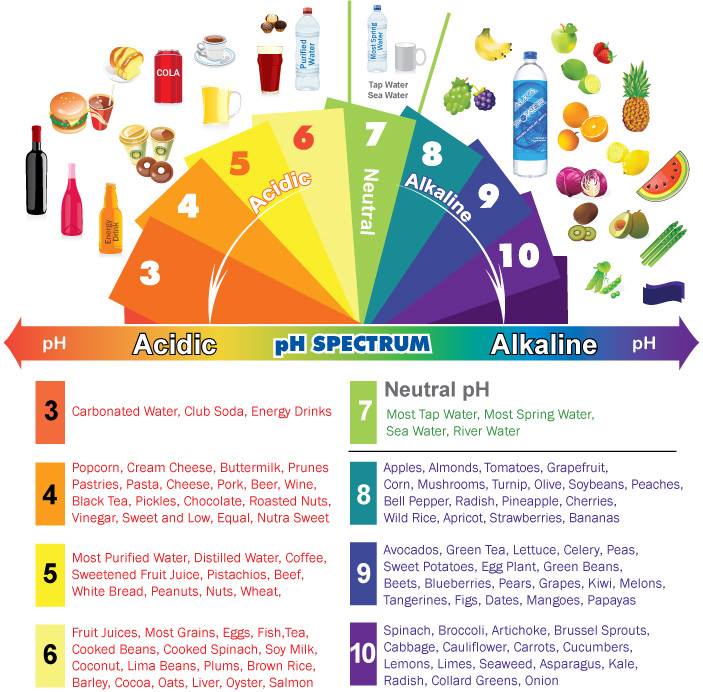 pH Dial of Food